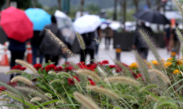 6일 전국 대부분 지역에서 가을비가 내리겠다. 사진은 서울 청계광장에서 우산을 쓴 시민들이 화단에 핀 수크령과 백일홍 사이를 지나고 있는 모습. /뉴시스