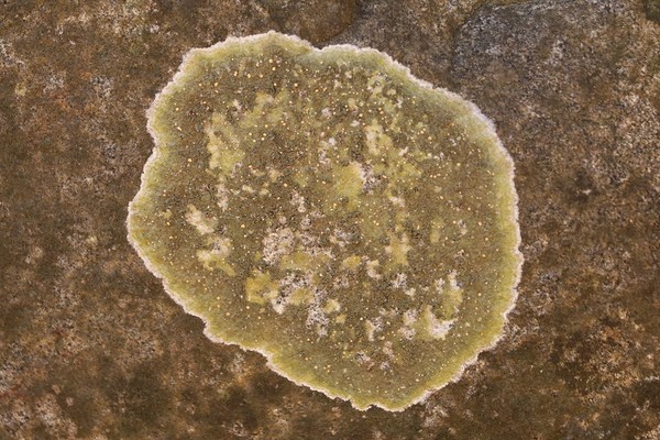 경계는 서로 다른 공존의 문! 예를 다 하는 상생의 생명철학