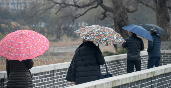 19일 수도권과 충남권에서 시작된 약한 봄비가 전국으로 확대되겠다. 사진은 전주덕진공원을 찾은 시민들이 봄비가 내리자 우산을 쓰고 걷고 있는 모습. /뉴시스