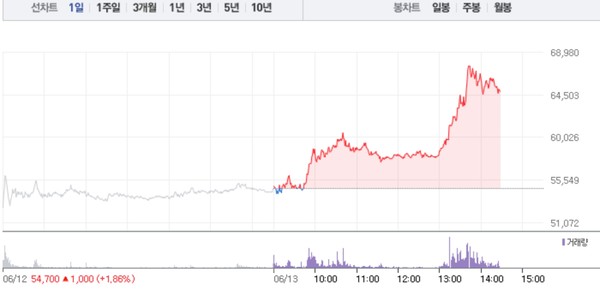 (그래픽=네이버페이 증권 캡처)