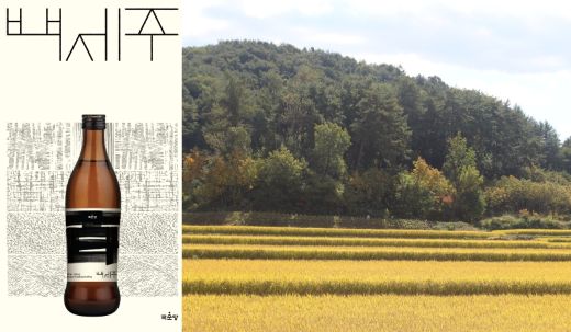 국순당 백세주 및 설갱미 재배단지 모습 (사진=국순당)