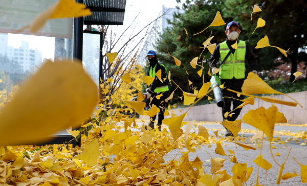 18일 아침 최저기온이 영하 8도까지 떨어지며 초겨울 강추위가 예상된다. 사진은 대구 달서구 월성동 가로수길에서 환경공무직들이 전동 송풍기를 이용해 낙엽을 청소하고 있는 모습. /뉴시스