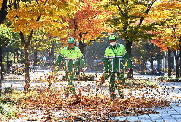 20일 가을 강추위가 한풀 꺾이겠다. 사진은 경기 수원시 팔달구 인계동 가로수길에서 환경관리원들이 전동 송풍기를 이용해 수북히 쌓인 낙엽을 청소하고 있는 모습. /뉴시스