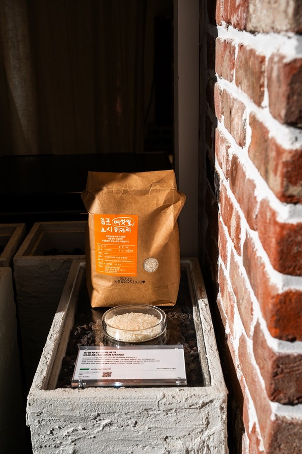 제주시 애월읍 소길리 소길별하 ‘2025 소셜페스타 in 제주’(사진=경기도 제공)