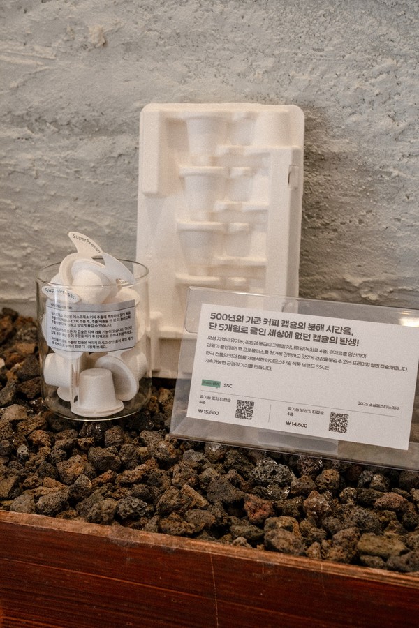 제주시 애월읍 소길리 소길별하 ‘2025 소셜페스타 in 제주’(사진=경기도 제공)