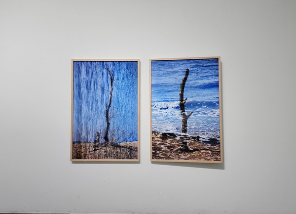 충남 태안 ‘신두리 해안사구’의 시시각각 변화하는 풍경을 담은 최경자 작가(1956~)의 사진전 '기억하는 풍경'이 24일까지 서울 인사동 Gallery Insart에서 열리고 있다.