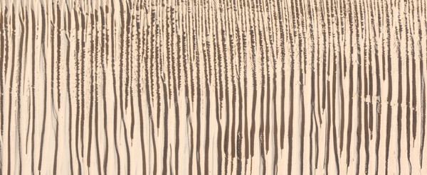 충남 태안 ‘신두리 해안사구’의 시시각각 변화하는 풍경을 담은 최경자 작가(1956~)의 사진전 '기억하는 풍경'이 24일까지 서울 인사동 Gallery Insart에서 열리고 있다.