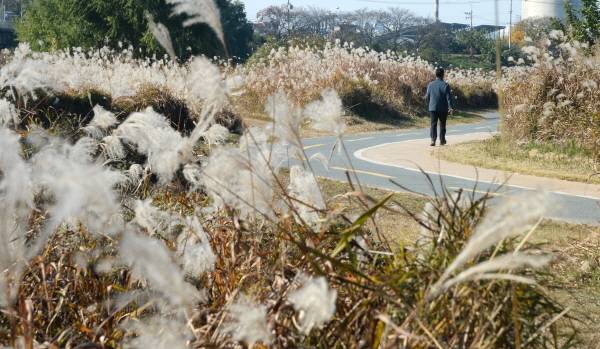 21일 아침 영하권 추위가 이어지겠지만 낮 기온은 10도 이상으로 오르며 비교적 포근한 날씨가 나타나겠다. 사진은 전북 전주시 덕진구 송천동 전주천을 찾은 시민들이 피어난 갈대를 바라보며 산책을 하고 있는 모습. /뉴시스
