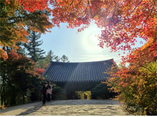 내륙을 중심으로 일교차가 15도 안팎으로 큰 가을날씨가 이어지겠다. 사진은 경북 영주시 소재 천년고찰 부석사가 10일 단풍으로 물들어 있는 모습. /뉴시스