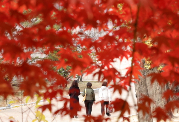22일 내륙을 중심으로 일교차가 15도 안팎으로 큰 가을날씨가 이어지겠다. 사진은 서울 중구 덕수궁에서 관람객들이 절절에 이른 단풍을 즐기며 산책을 하고 있는 모습. /뉴시스