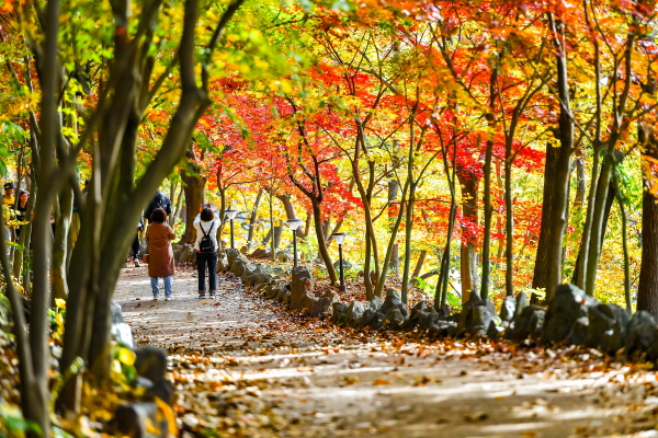 23일 최고기온이 18도까지 오르며 포근한 늦가을 날씨가 이어지겠다. 사진은 경남 함안군 입곡군립공원에 단풍객들이 가을을 만끽하고 있는 모습. /뉴시스