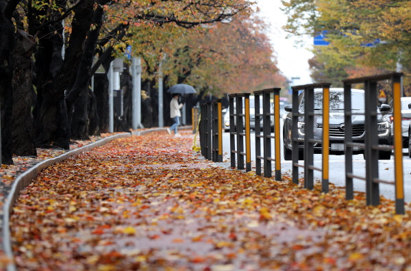 24일 한낮 최고기온이 20도까지 오르며 포근한 늦가을 날씨가 이어지겠다. 사진은 서울 영등포구 여의서로에 낙엽이 거리에 수북히 쌓여있는 모습. /뉴시스