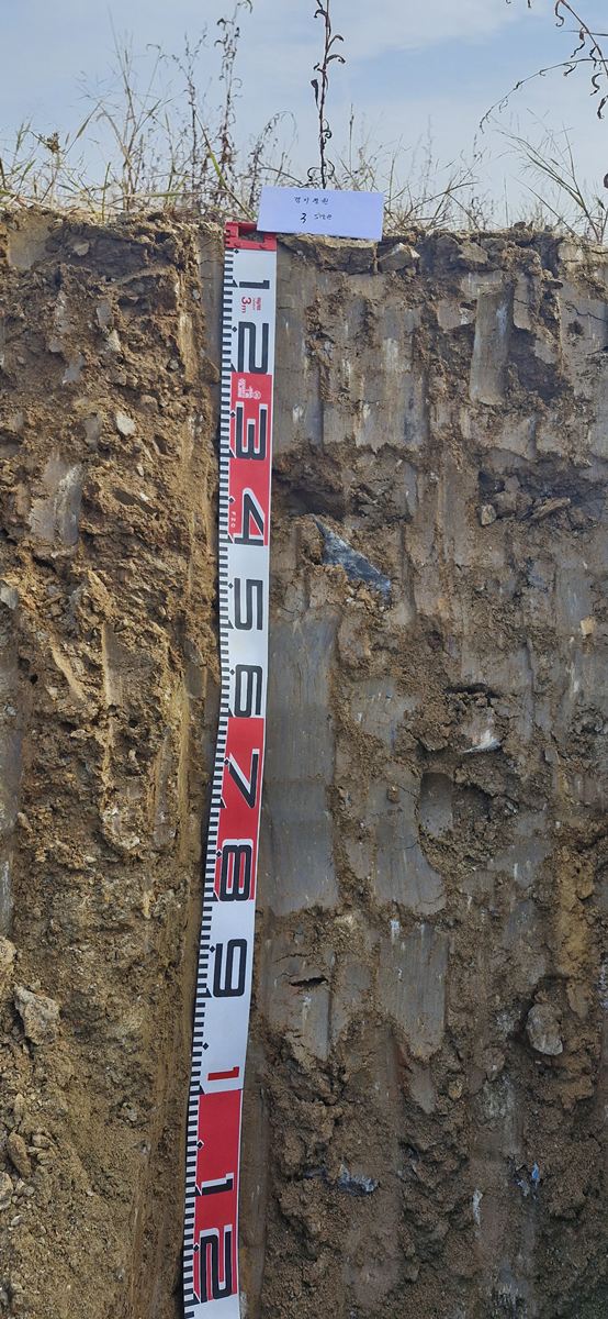 경기지방정원(새로숲) 조성부지인 시화매립지 토양의 특성 연구 현장(자료사진=경기도 제공)