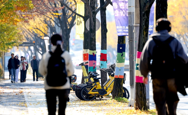 26일 아침에는 쌀쌀하겠으나 한낮에는 기온이 올라 평년수준을 회복하겠다. 사진은 대구 북구 경북대학교 인근 나무에 겨울철 해충 방제를 위한 잠복소가 둘러쳐져 있는 모습. /뉴시스