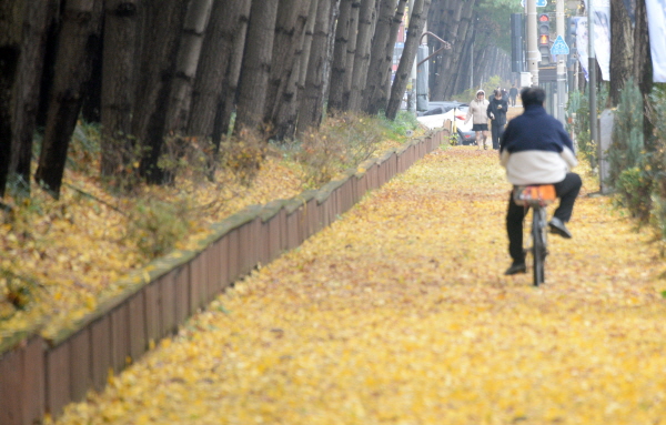 27일 오전부터 전국 대부분 지역에 가끔 비가 내리겠으며 강원과 제주 산지 등에는 비 또는 눈이 내리겠다. 사진은 전북 전주시 완산구 온고을로에서 시민들이 낙엽을 밟으며 산책을 하고 있는 모습. /뉴시스